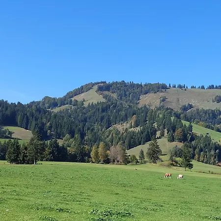 Ferienwohnung Hoamatgfuehl Hochfilzen